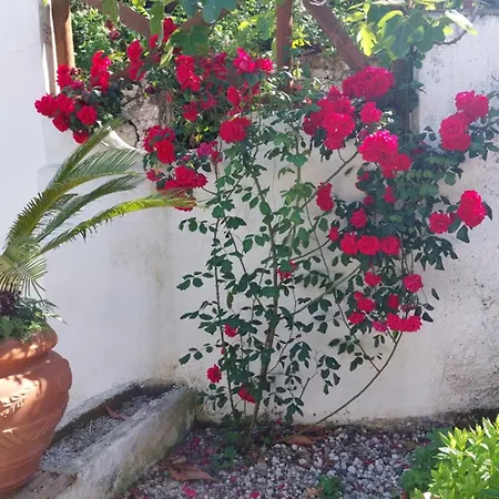 La Quiete Garden Canneto (Lipari)