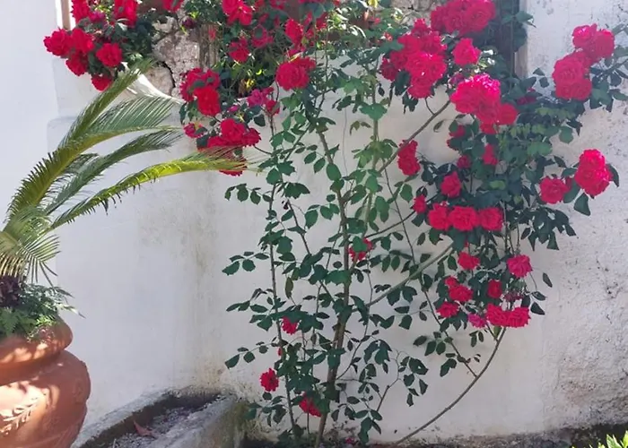 La Quiete Garden Canneto (Lipari)